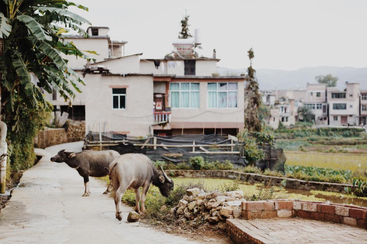 The Twelve Manor•Terraces Lodge Юаньян Экстерьер фото